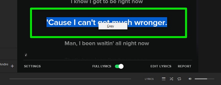 spotify lyrics on pc